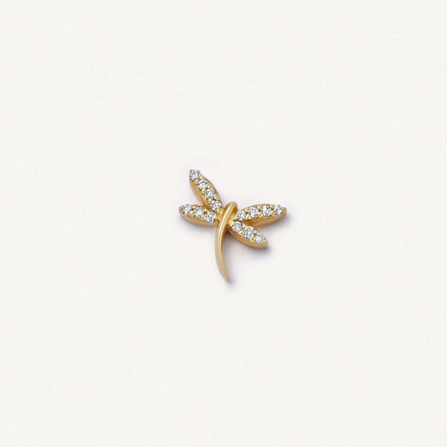 Floating Charm Locket Necklace and Mini Charms