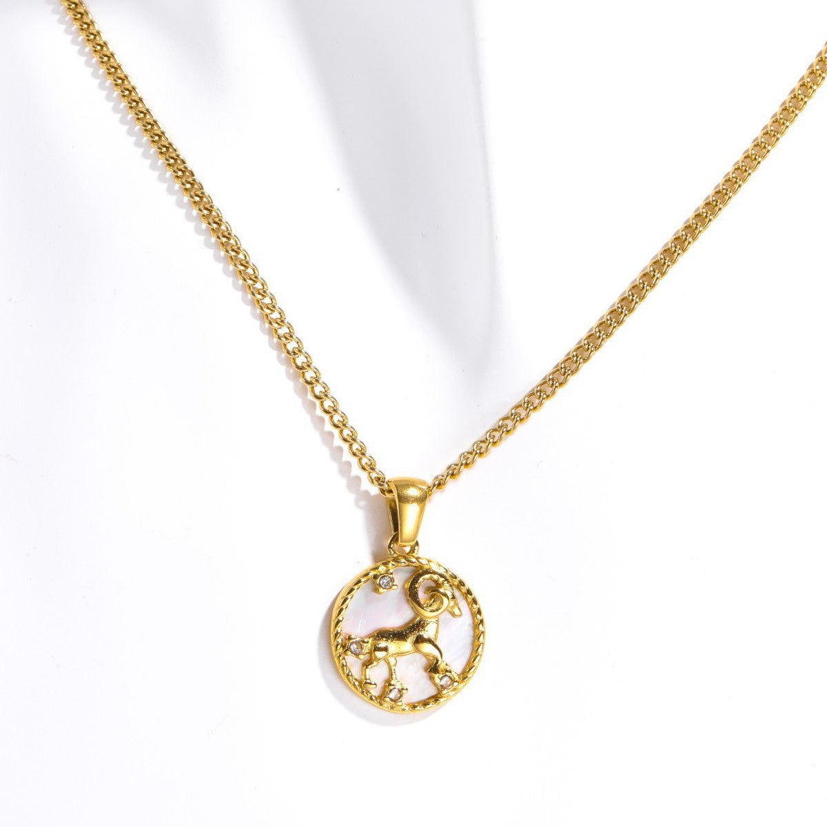 Tamera Zodiac Coin Necklace