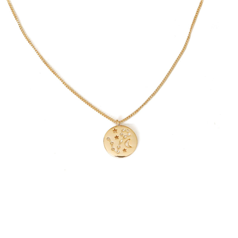 Zodiac Coin Necklace